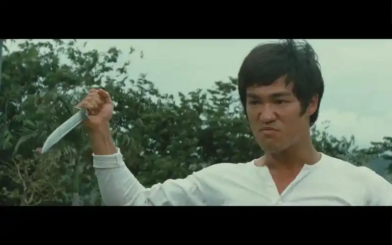 李小龙 唐山大兄 r星出品