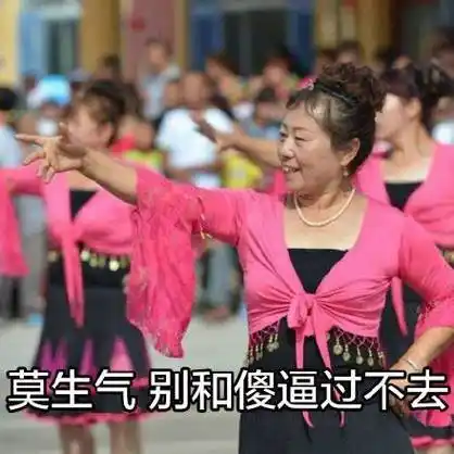 莫生气,别和傻逼过不去 - 大妈跳广场舞系列表情包