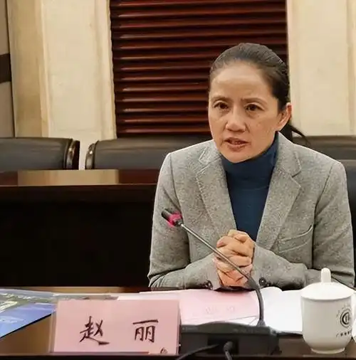 然而这一切,不过是赵丽刻意营造出来的.