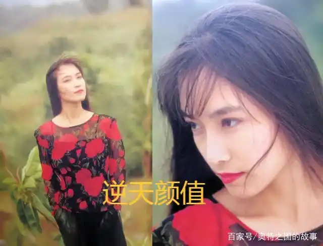 迪迦胜利队近况,大古年轻丽娜苍老,居间惠队长颜值逆天!