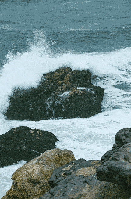 430_652竖版 竖屏gif 动态图 动图