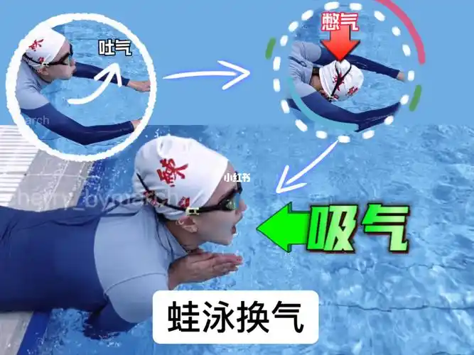 蛙泳换气来啦憋气吐气和吸气你学废了吗