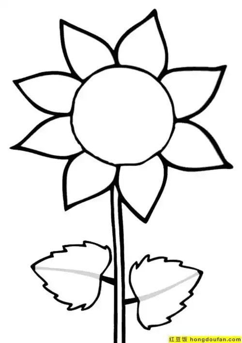 向日葵简笔画图片大全(向日葵简笔画图片大全可爱)-生活常识-江湖救急