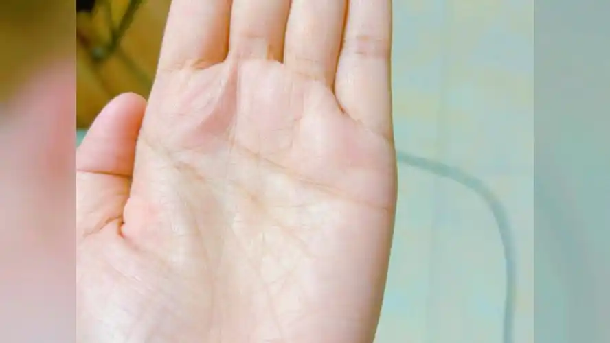 左手田字纹,今天一定要注意安全,特别注意.