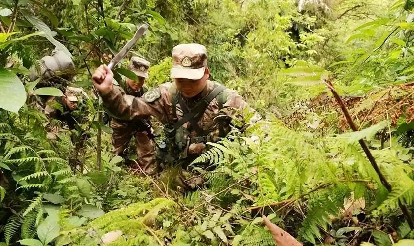 墨脱边防官兵的巡逻路:峰险谷深,蛇虫肆虐,29名军人曾在此牺牲_蚂蟥