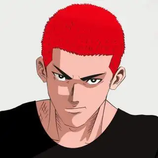 超帅气的樱木花道头像