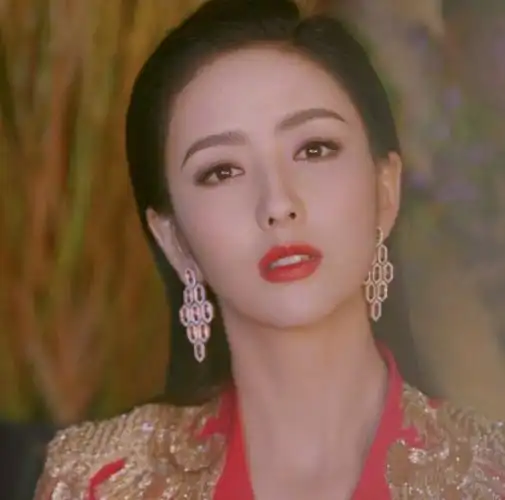 晚会主持人发型图片(历届央视春晚造型盘点) - 赤虎壹号