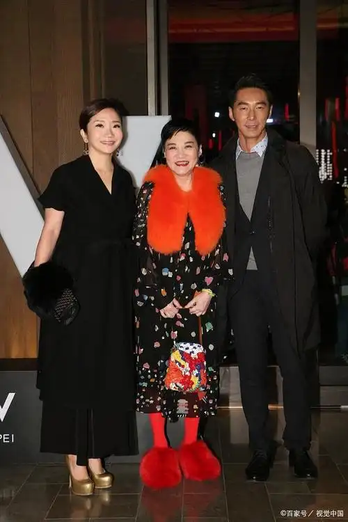 据称,林青霞的丈夫邢李源与一位女子生下了私生子,并决定将他的财产