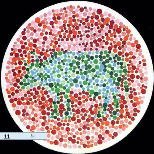 在来看看这什么动物红绿色弱色盲测试