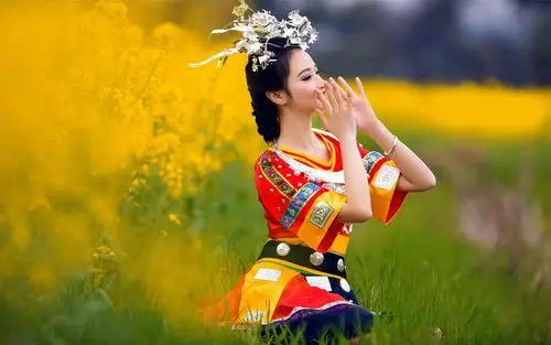 少数民族美女油菜花写真高清桌面壁纸(5)
