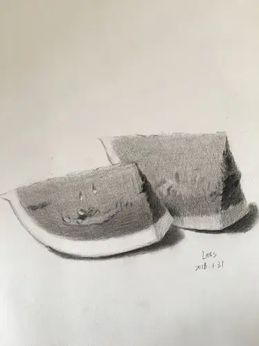 一组水果单体素描