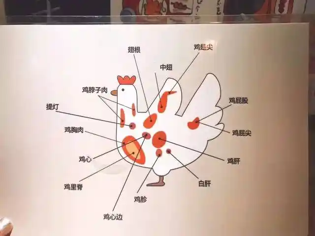 【探店·日料】鸟啸:吃鸡我们是认真的!