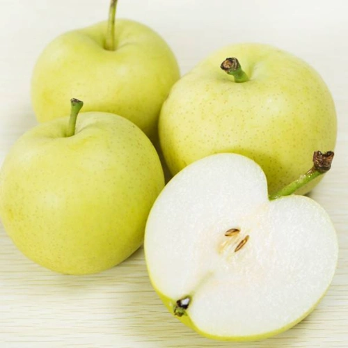 苹果梨1kg±50g/袋