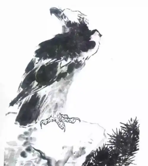 国画技法如何画鹰