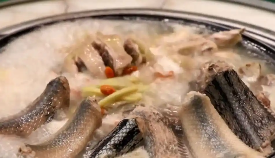 藏在乡村的"蛇肉名店",1斤100多元,吃货蜂拥而至