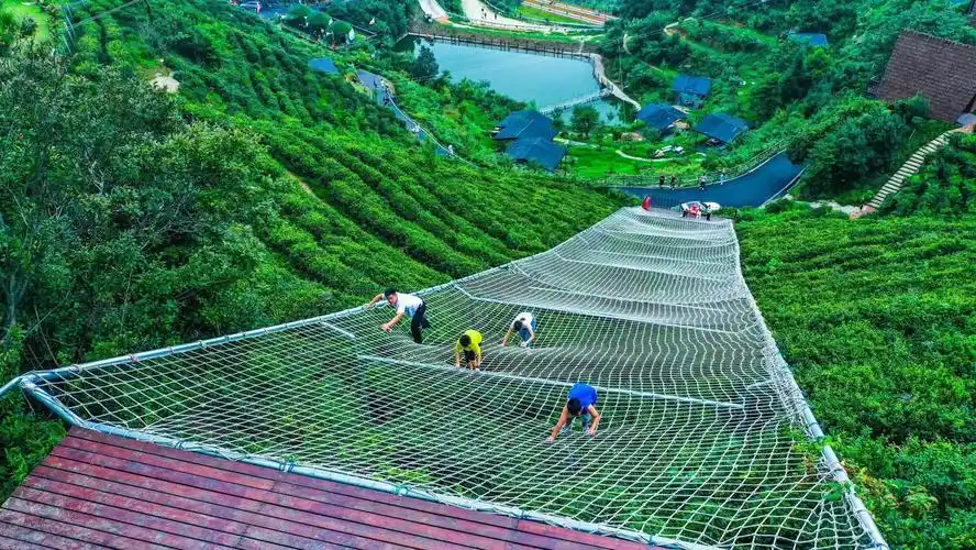 恢复开放第一天,黑麋峰国家森林公园来了3000游客-掌上长沙