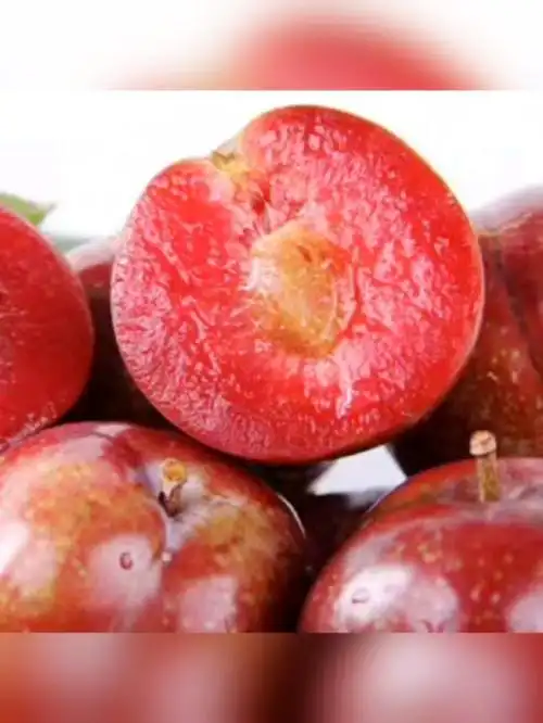 自家种的胭脂李,无农药,无化肥,纯天然的红心李子!5斤装每箱40元包邮!