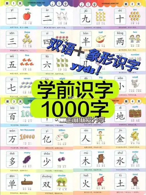学前识字1000字 幼小衔接识字象形识字双语