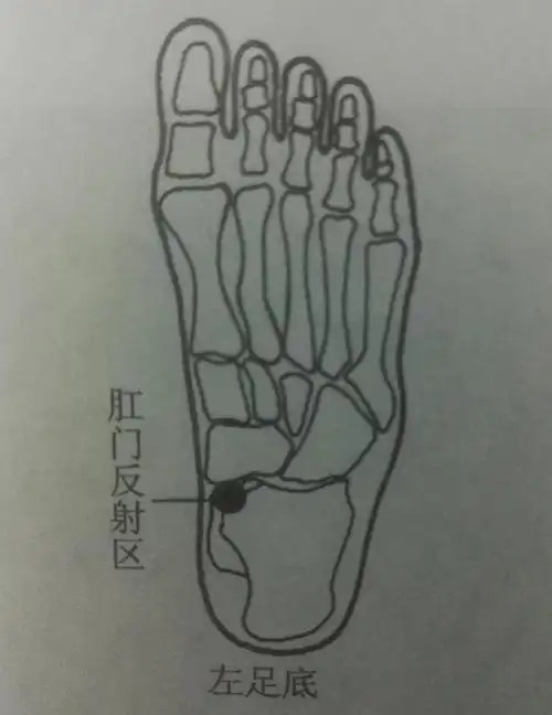 食指弯曲用第一指关节顶压左足肛门反射区,平时我们应该注意饮食,少吃
