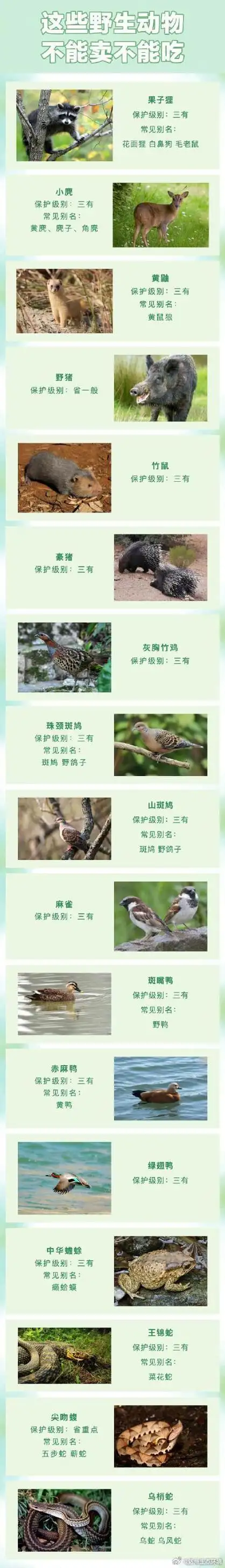 【这些野生动物不能卖不能吃!