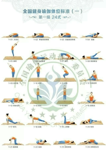 瑜伽108式图片大全