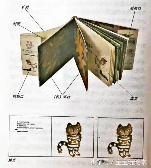 扉页是什么封面扉页什么意思