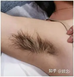 女生通常多久刮一次腋毛使用什么工具