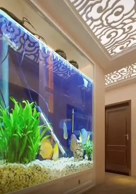 一整面墙都设计成了鱼缸,镜头切换的瞬间,这创意简直了