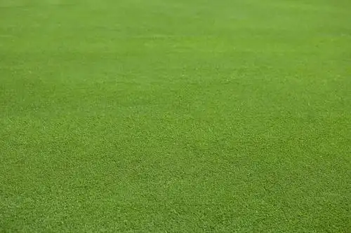 无人,横图,俯视,室外,白天,旅游,度假,草地,草坪,美景,植物,静冈县