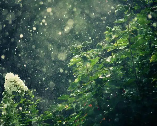 真实下雨图片大全天气决定很多人的心情
