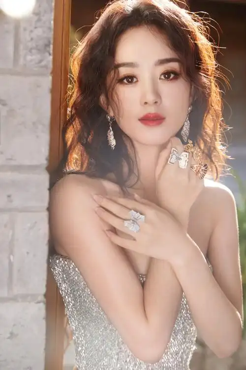 赵丽颖闪钻礼服