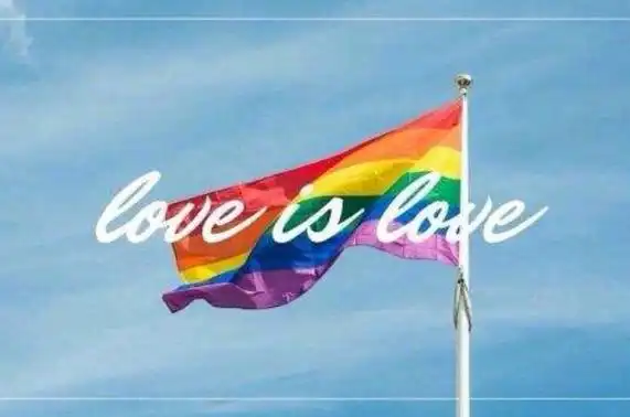 网络用语lgbt是什么意思非常规恋爱女同男同双性恋跨性别者