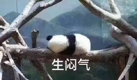 熊猫宝宝生闷气_生闷气_熊猫_宝宝表情