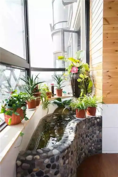 阳台建个假山鱼池,网友直呼:美到爆!_风水