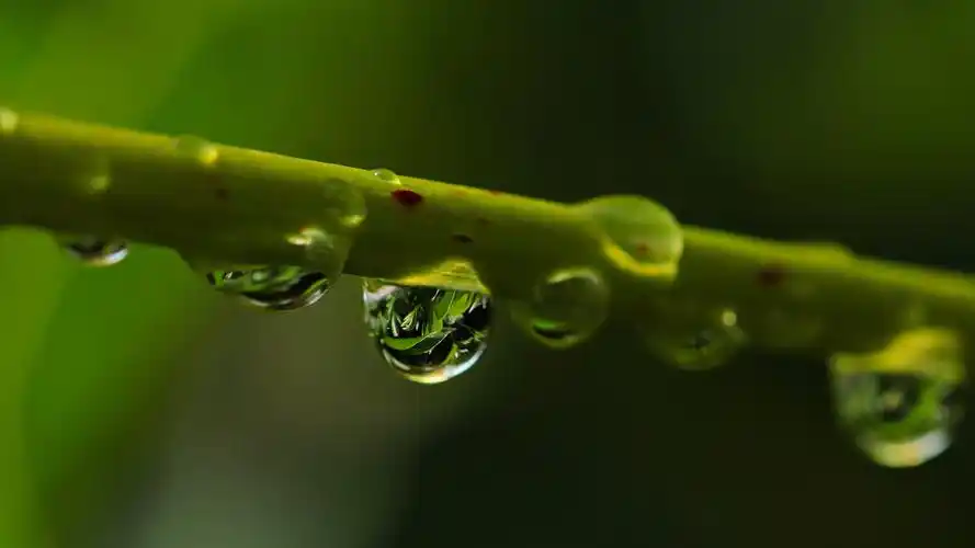 一滴水雨滴心情水滴4k壁纸壁纸