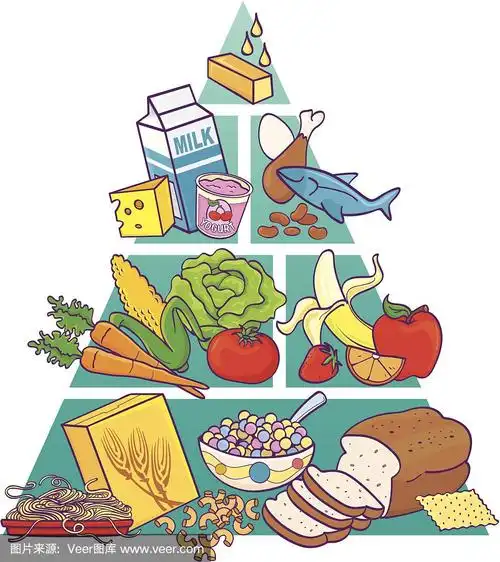 食物金字塔,彩色图片,健康食物,饮食,食品