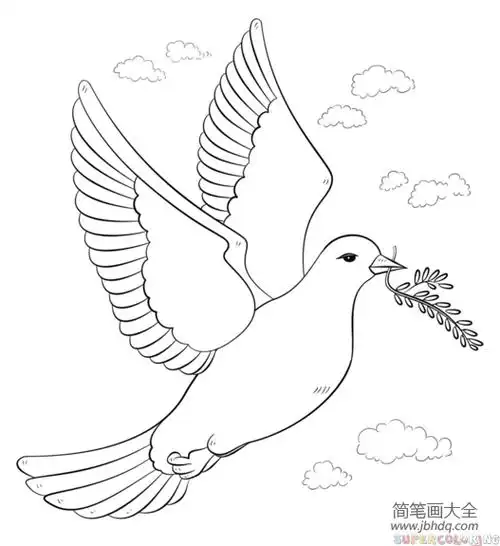 如何画和平鸽子和橄榄枝
