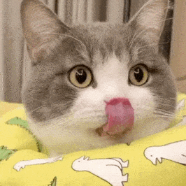 280_280gif 动态图 动图