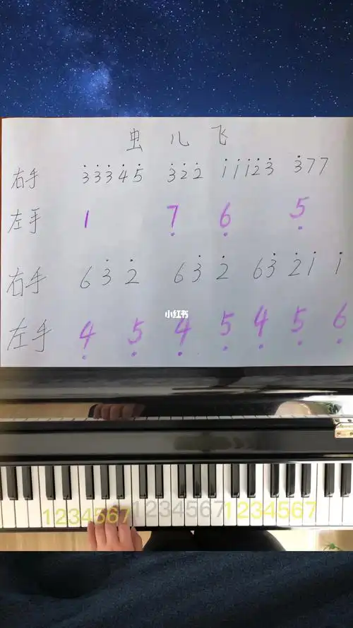 虫儿飞零基础一分钟学钢琴