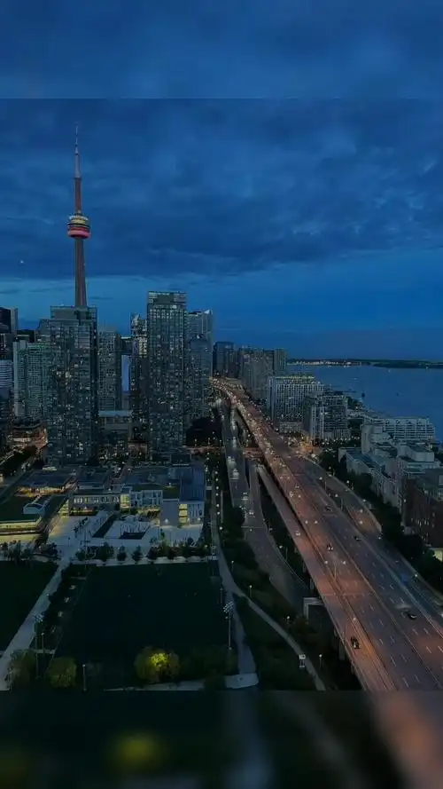 多伦多市中心的夜景