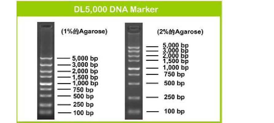 takara公司的3种marker