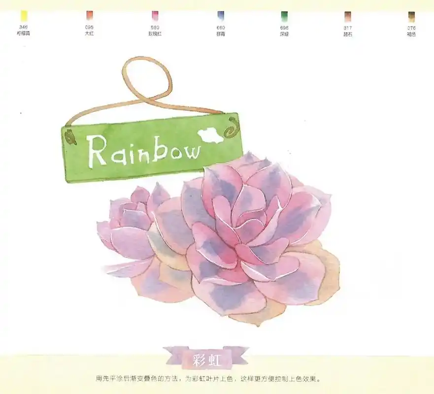 多肉彩虹水彩绘画步骤.#抖音图文来了 #水彩画  - 抖音