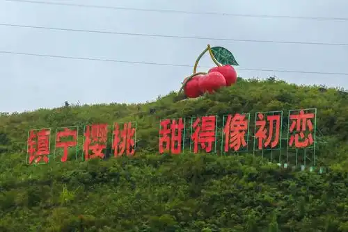 镇宁县(安顺市管辖)的樱桃广告.