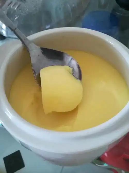 终身美丽-小麦做的简单易学牛奶鸡蛋布丁