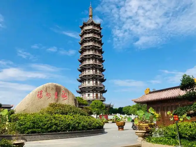上海奉贤区海湾旅游景区龙腾阁东海观音寺海湾园知青博物馆国际风筝