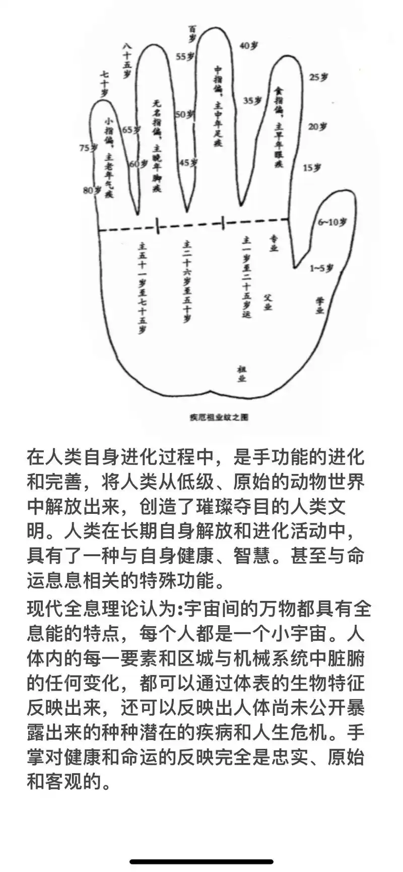 【手相之事业线分析】现代全息理论认为:宇宙间的万物都具有全息 - 抖