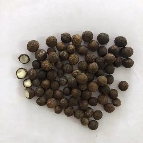 p data-id="gnvjz2h2ga">樟树子,又名香樟子,樟木子,大木姜子,是樟科