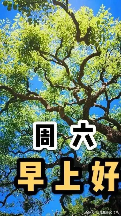 简单愉快的周末早安心语:到了周末,卸下疲惫,让心将快乐追逐