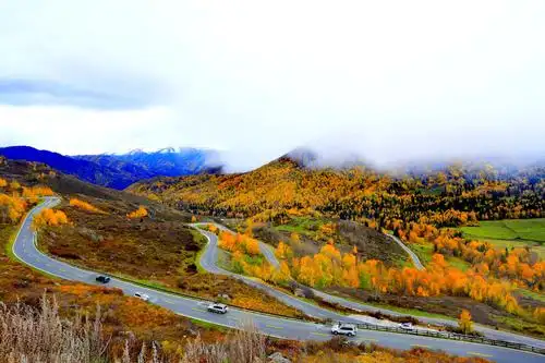 9.24新疆贾登峪国家森林公园沿途风光