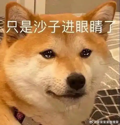 听说唱词不达意哭了为七分之二努力的依雪西语  3.